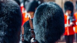 British Royal Guard Horse