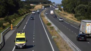 Horse on the Highway