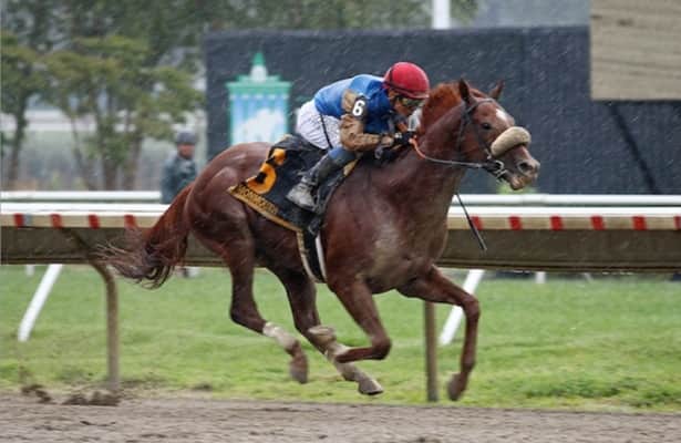 California invader Subsanador scores as favorite in Iselin