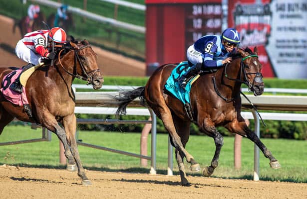 Saratoga: Grade 1 winner Brightwork returns in Prioress