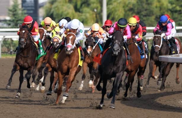 Woodbine: King's Plate card generates $8.6 million in handle