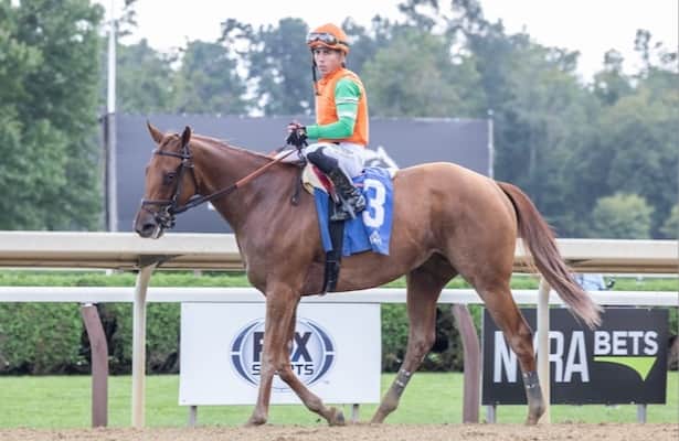 Horses to Watch: Brown, Walsh debut flashy 2-year-olds
