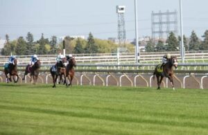 Woodbine: Full Count Felicia blasts off to win E. P. Taylor