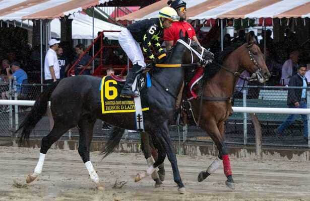 Tuesday works: Honor D Lady leads 5 graded winners