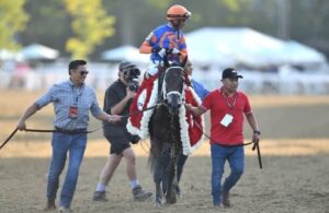 Workouts: Fierceness returns to tab, 1 of 52 graded winners