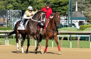 Horses to Watch: Don't give up on Ferocious despite defeat