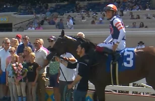 Horses to Watch: D'Amato juvenile impresses in 2nd start
