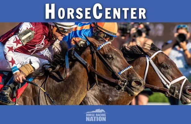 HorseCenter 10th anniversary edition: Breeders' Cup preview
