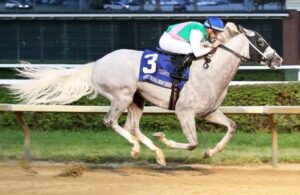 Zipse: Dragoon Guard is 1 to watch as we march to fall racing
