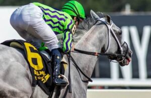 Horses to Watch: These 3 can win graded stakes this weekend