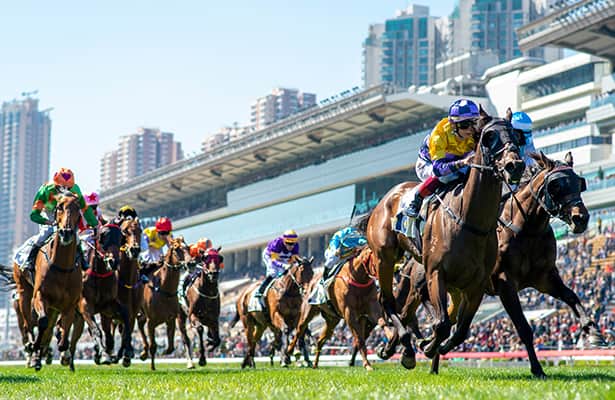 Hong Kong exacta play: AI model projects exacta value