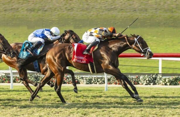 Santa Anita: Artislas, Sabertooth are rematched in Zuma Beach