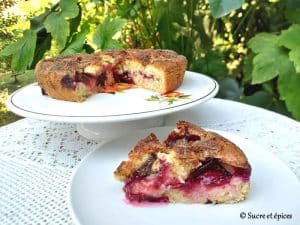 Cinnamon Plum Cake Recipe: Bake the Perfect Dessert!
