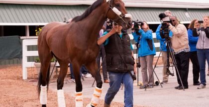Nyquist Preakness Stakes 2016