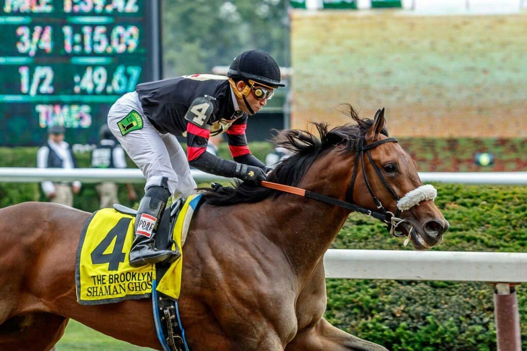 Belmont Stakes 2016 Results