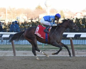 j boys echo credit chelsea durand2